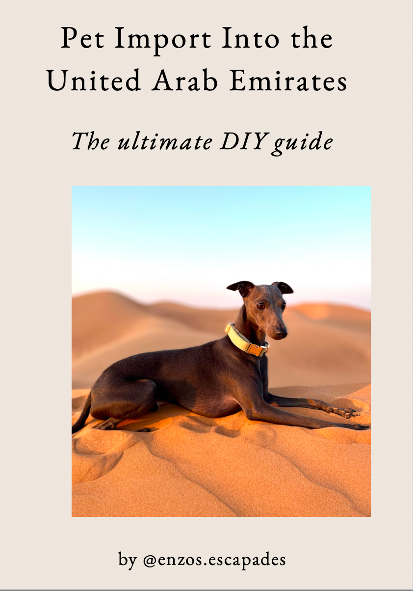 Pet Import Into the United Arab Emirates - The Ultimate DIY Guide